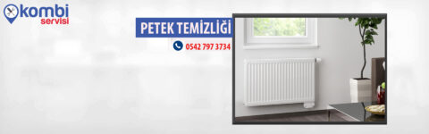 PETEK TEMİZLİĞİ